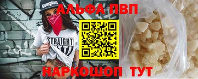 jwh Кингисепп