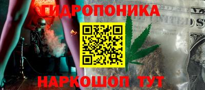 jwh Кингисепп