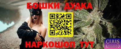 jwh Кингисепп