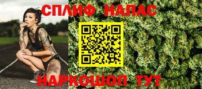 jwh Кингисепп