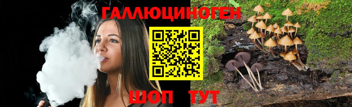 Галлюциногенные грибы GOLDEN TEACHER  Галлюциногенные грибы Magic Shrooms  Тимашёвск  Вход с VPN 